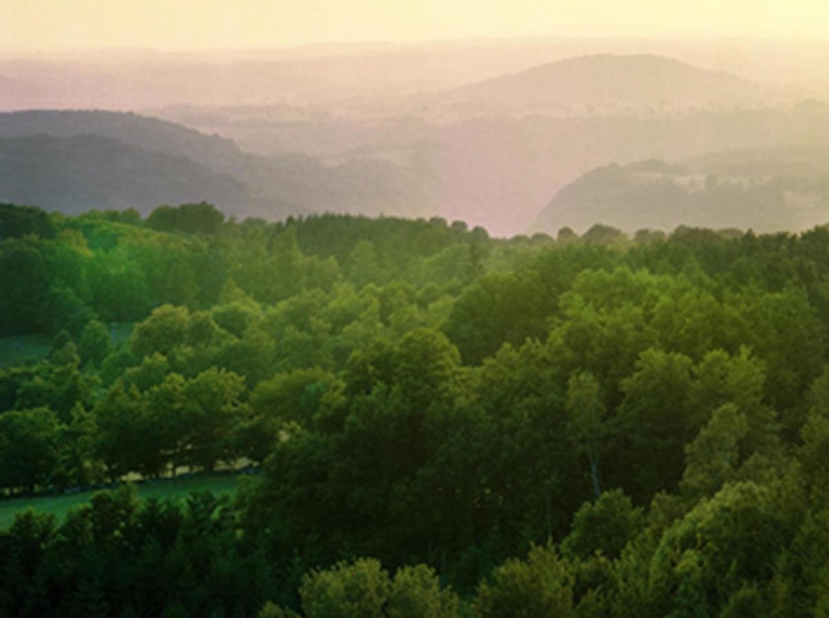 Yourtes de Vassivière Peyrat-le-Château Esterno foto